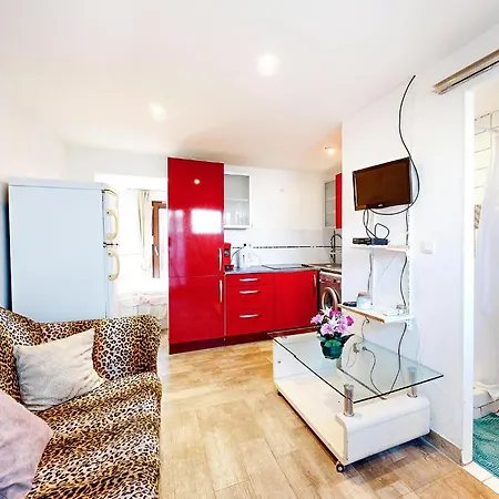 1 Bedroom Pet Friendly In Apartment