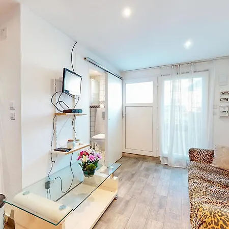 1 Bedroom Pet Friendly In Apartment Schiltigheim